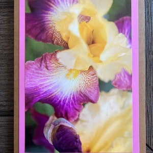 花のアイリスの写真ノートカード