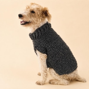 May include: A wire-haired terrier dog with light tan and white fur wearing a dark charcoal gray knitted sweater. The sweater features a thick ribbed collar and a textured, chunky knit pattern that covers the torso of the dog.
