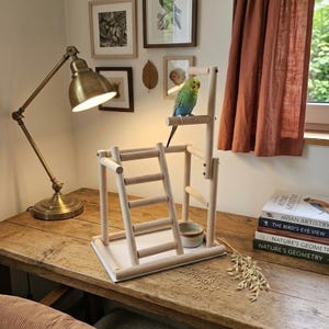 Könnte beinhalten: Ein hölzerner Vogelkäfig mit einer Leiter und einer kleinen Schüssel. Ein bunter Wellensittich sitzt oben. Die Sitzstange steht auf einem Holztisch mit Büchern und einer Lampe.