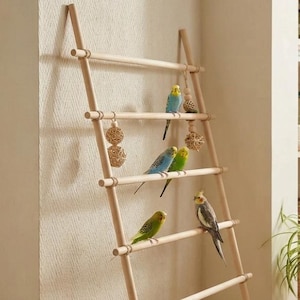 Pode incluir: Um poleiro em forma de escada de madeira clara com cinco degraus horizontais. Vários pássaros pequenos, incluindo periquitos e uma caturra, estão pousados nos degraus. Bolas de vime trançado estão penduradas como brinquedos na escada.