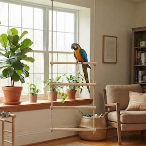 May include: A hanging bird ladder featuring four smooth, light-coloured wooden rungs suspended by thick, natural-fibre ropes. A blue and yellow macaw with a long tail is perched on the second rung from the top of the vertical climbing structure.