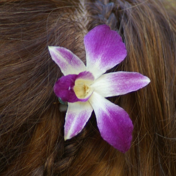 Real Preserved Purple Single Orchid hair pin clip piece