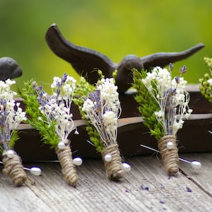 FOUR or ONE Boutonniere Real Dried Lavender Wild Flower