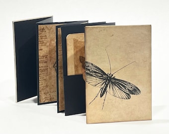 Bug Book #2