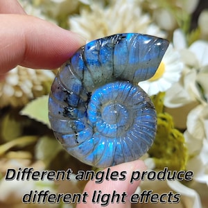 May include: A polished labradorite gemstone carved into a spiral ammonite fossil shape, displaying iridescent blue flashes across its surface. The text "Different angles produce different light effects" is printed at the bottom of the image.