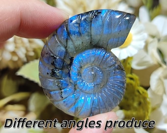 Natural Labradorite Ammonite Spiral Shell / Seahorse Figurine, Flashy Blue Spectrolite Crystal Carving