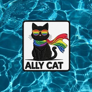 May include: A square embroidered patch featuring a black cat wearing rainbow-colored sunglasses and a matching rainbow scarf. The cat is sitting upright, and the text ALLY CAT is embroidered in bold black capital letters at the bottom.