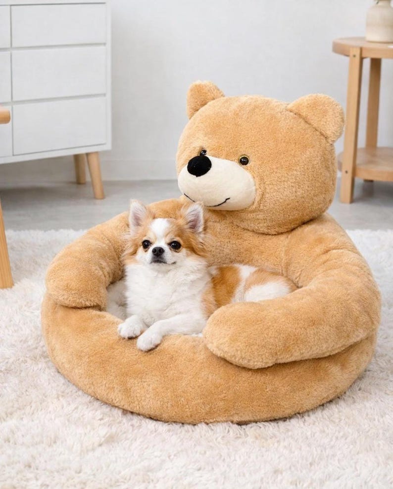 Pu&ograve; includere: Un letto per animali a forma di orsacchiotto marrone con un cagnolino all'interno. Il letto ha una base rotonda e una testa e braccia di orso. Il cane &egrave; bianco e marrone, sdraiato comodamente nel letto.