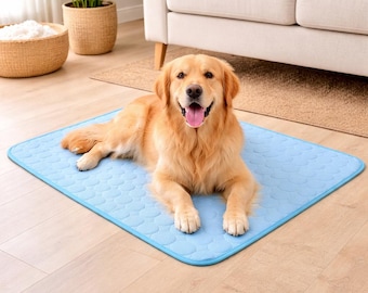 Tapis rafraîchissant pour animaux de compagnie, coussin d'été respirant, tapis en soie glacée douce