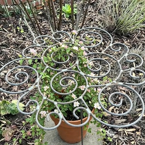 Könnte beinhalten: Dekorative, graue Pflanzenstütze aus Metall mit einem wirbelnden, scrollartigen Design. Die Stütze umgibt einen Terrakotta-Topf, der mit einer blühenden Pflanze mit rosa Blüten und grünen Blättern gefüllt ist. Die Pflanze befindet sich in einem Garten.