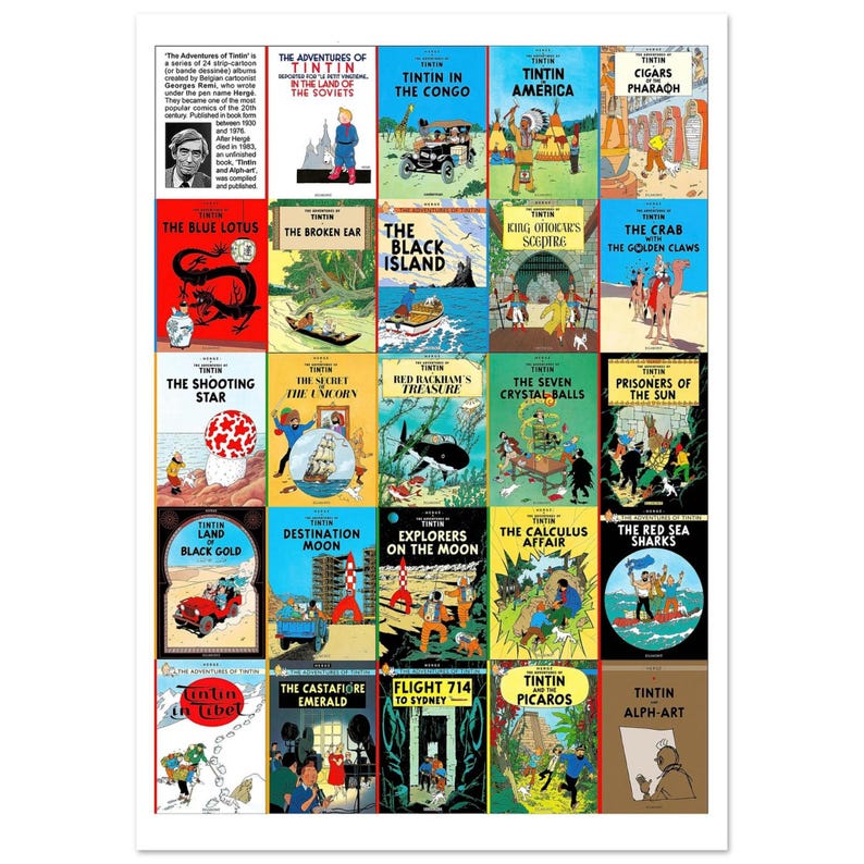 Vintage Poster "The Adventures of Tintin" - All covers in English - 1980 image 7