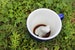 Frog Mug | Hidden Animal Cup | Frog Ceramic Mug | Holiday and Christmas Gift for Coffee & Tea Lovers | Office Gift | Birthday gifts 