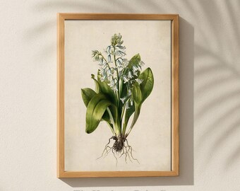 Wild Bluebell Wall Art Printable | Vintage Woodland Floral Kitchen Decor (DIGITAL Print) THPC91