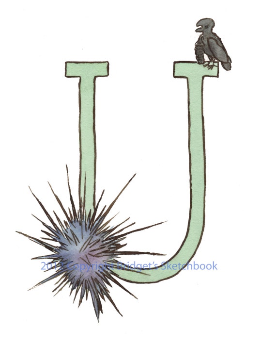 Items similar to U is for Urchin monogram PRINT of an original