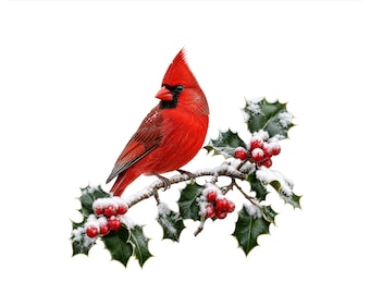 Cardinal Bird PNG, Winter Holly Branch Christmas Design, Red Bird Holiday Sublimation Shirt Graphic, Digital Download