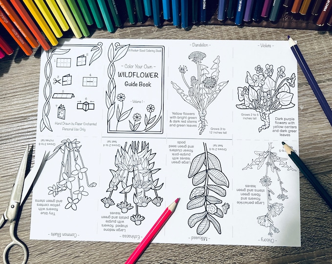 Color Your Own Wildflower Pocket Guide Book, Digital Download, Printable