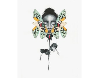 Mouche florale 7 | Croissance