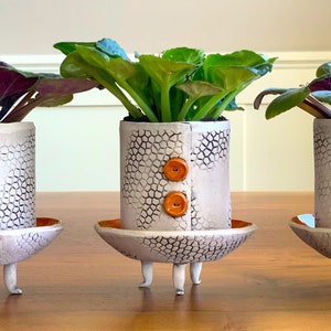 May include: Three ceramic planters with plants. The planters are white with a textured pattern and orange buttons. Each planter sits on a matching saucer with three small legs. The plants have green and purple leaves and some have purple flowers.