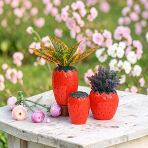 May include: Three red ceramic strawberry-shaped vases of varying sizes, each with a green leafy top. The vases hold plants with green, yellow, and purple foliage. The vases are on a weathered wooden table with pink flowers in the background.