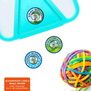 Etichette rotonde con nome (3 misure), Koala (blu)