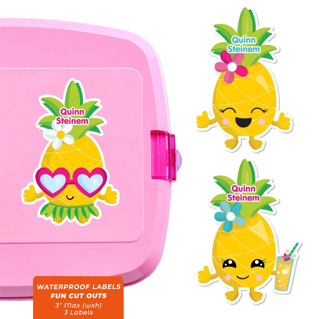 Fun Cutous Fun Cut Outs, Name Labels for Kids Water Bottles, Pineapples - Etsy