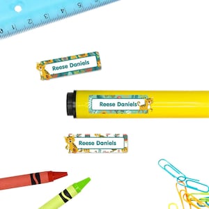 Rectangle Name Stickers (4 Sizes), Tigers