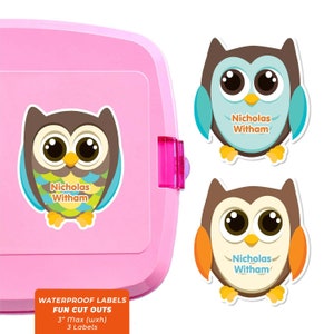 Fun Cut Outs, Name Labels for Kids Water Bottles, Owls (Green)