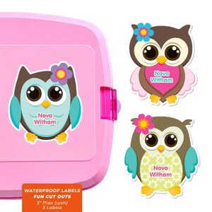 Fun Cut Outs, Name Labels for Kids Water Bottles, Owls (Pink)