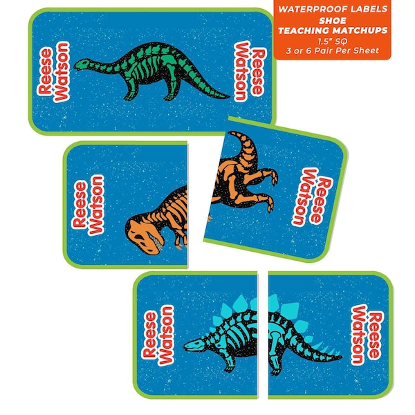 Shoe Teaching MatchUP Labels, Dino Fossils (8 Colors)