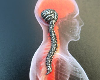 Brain and Spine Pewter Lapel Pin-CC651-Brain, Spine, Neurosurgery, Spinal Cord, and Brain and Spine Institute Pins