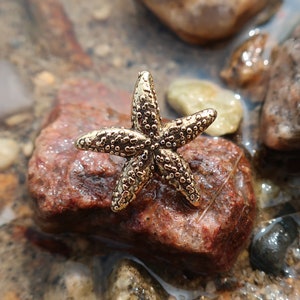 May include: A gold-colored starfish charm on a red rock with other rocks in the background.