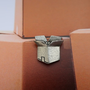 Verzenddoos Pewter Lapel Pin- CC568- Verzending, Vracht, Verplaatsen en Kartonnen Doos Pins