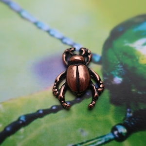 Beetle Copper Dipped Pewter Lapel Pin - CC280C- Animal, Insect, and Bug Pins