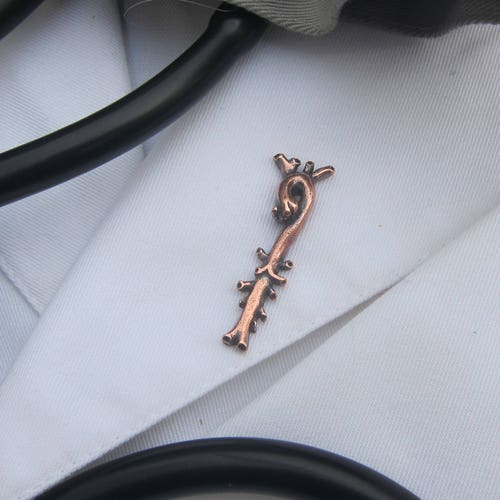 Gold Pancreas Lapel Pin CC620G Medical and Anatomy Pins for Etsy