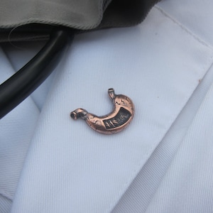 Copper Stomach Lapel Pin- CC619C- Medical and Anatomy Pins- Digestion and Gastro Gifts