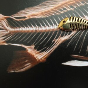 May include: A gold-colored fish skeleton charm, with a detailed design of the bones, is shown on a background of a fish skeleton. The charm is about 2 inches long.