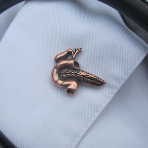 Pin de solapa de páncreas de cobre- CC620C- Pines médicos y anatomía para médicos y enfermeras