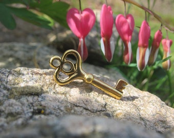 Gold Skeleton Key Lapel Pin- CC417G- Skeleton Key, Passkey, Master Key, Key, and Realtor Pins