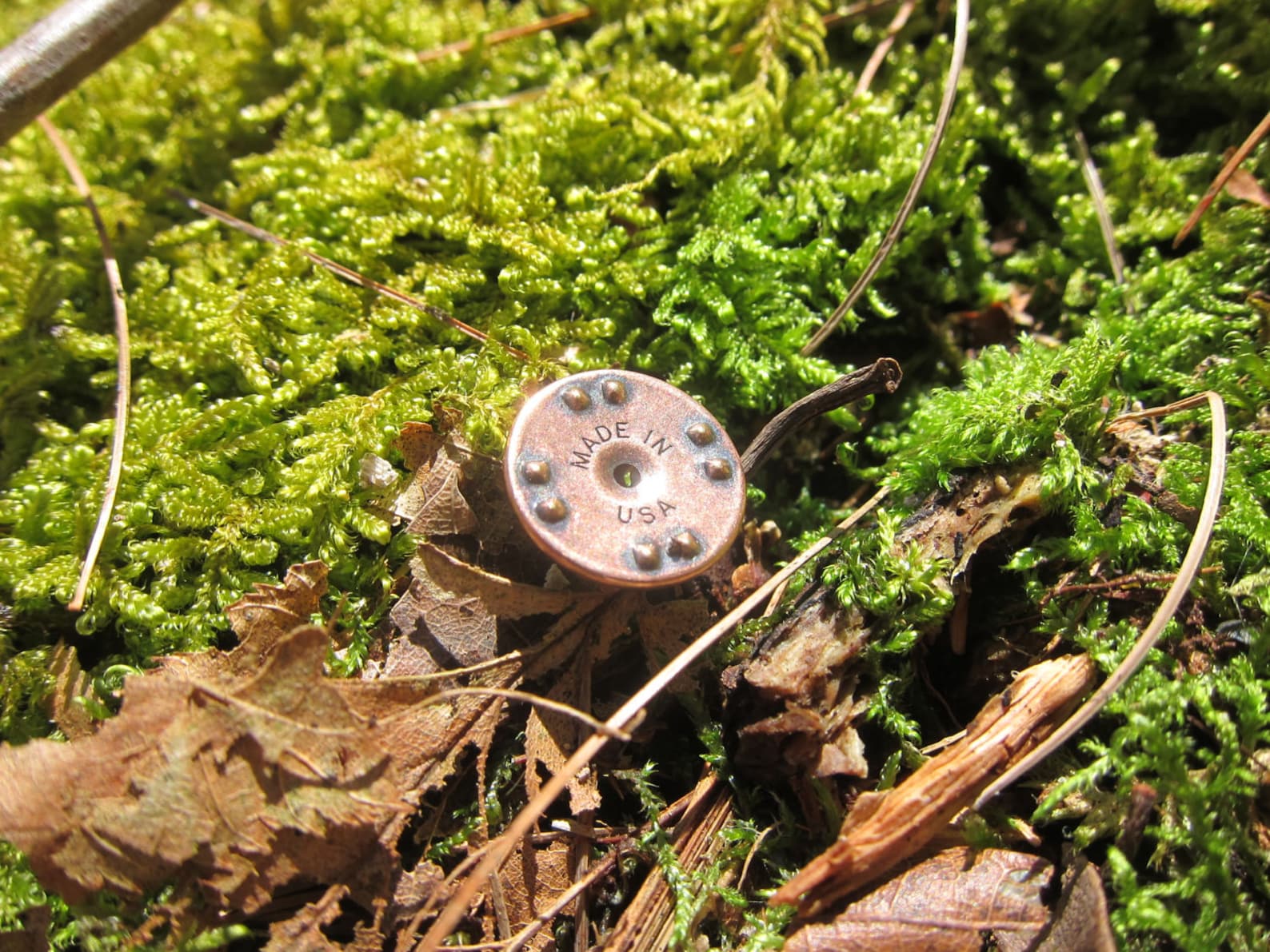 Copper Oak Tree Lapel Pin CC363C Oak Tree Nature and Etsy