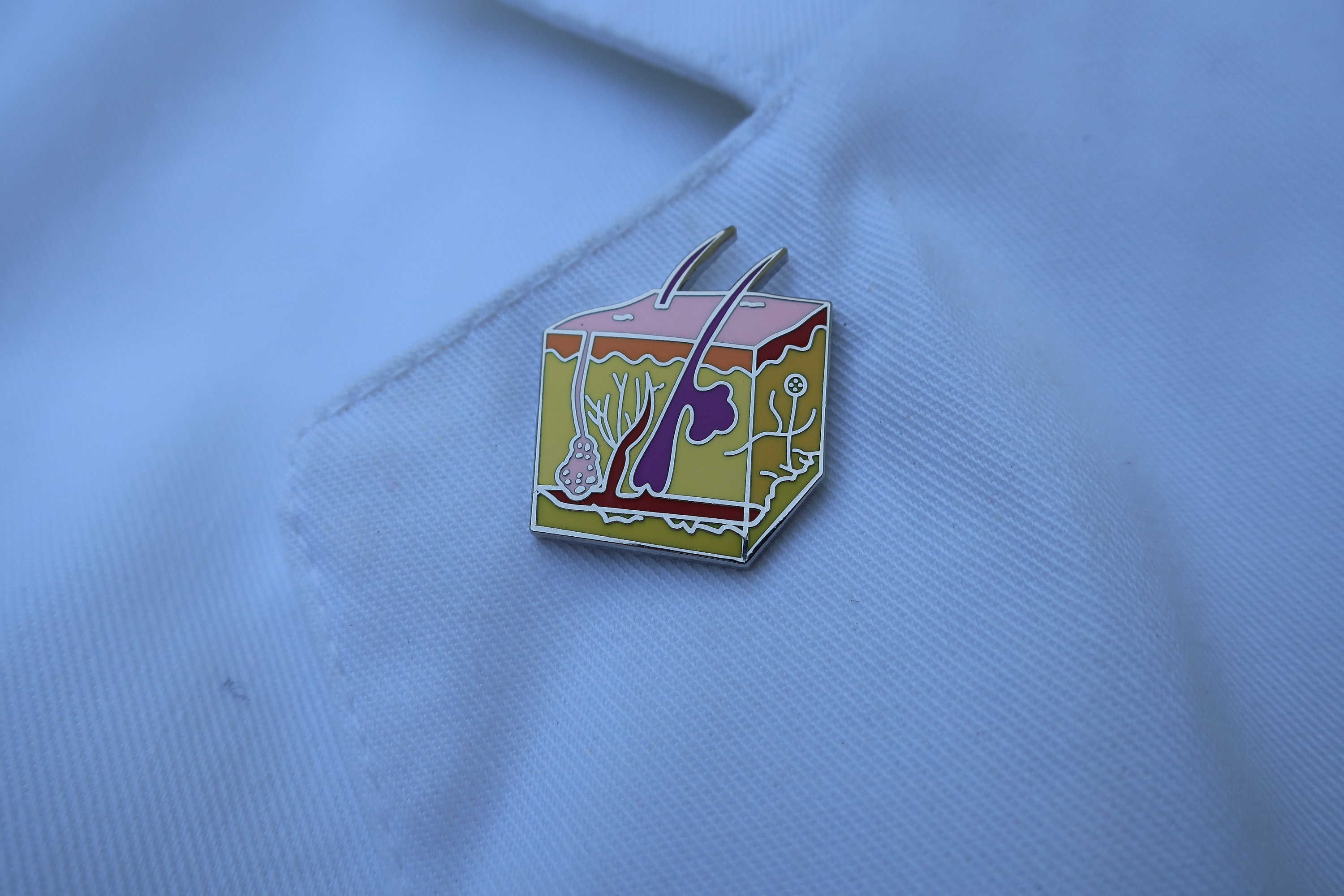 Skin Lapel Pin- EP116- Skin, Dermatologist, Anatomy and Cell Lapel Pins ...