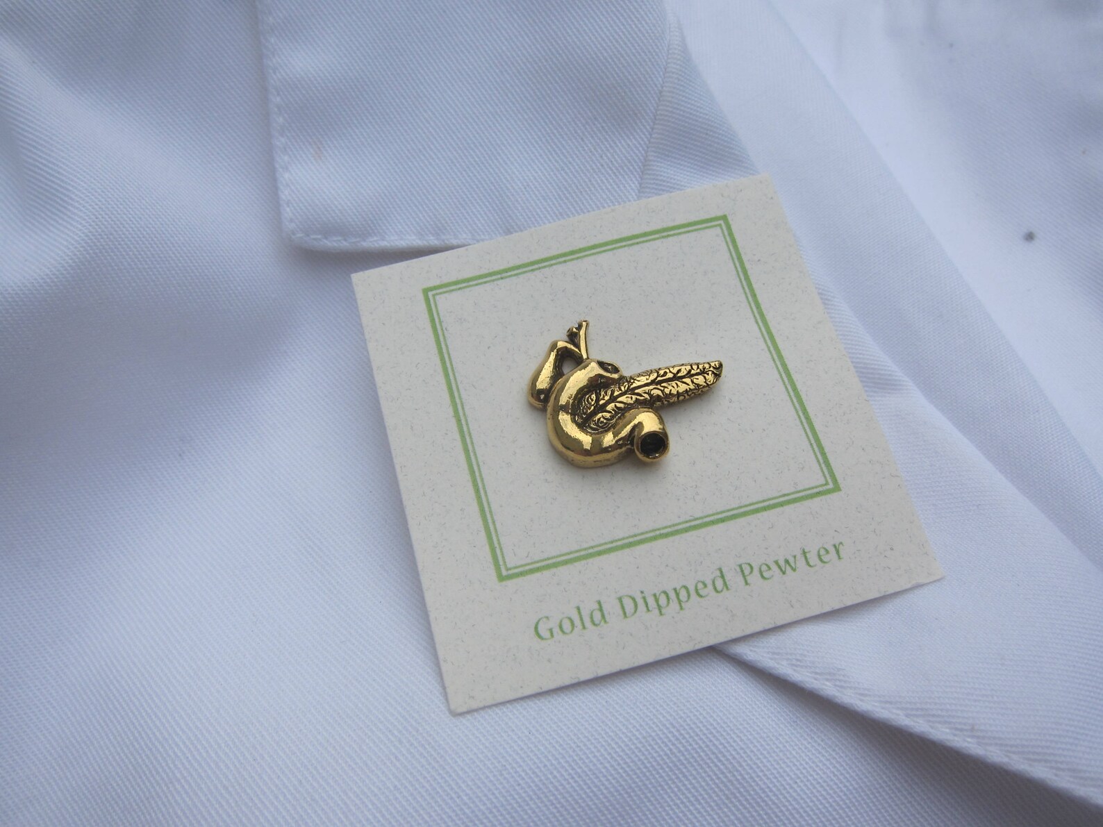 Gold Pancreas Lapel Pin CC620G Medical and Anatomy Pins for - Etsy