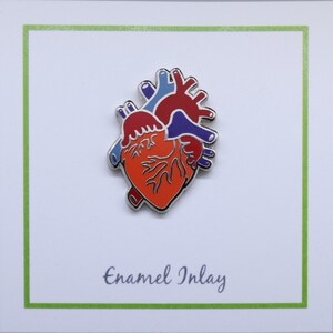 May include: A silver enamel pin featuring a detailed anatomical heart design. The heart is red, with blue and purple veins. The pin reads "Enamel Inlay" at the bottom.