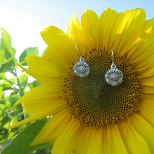 Sunflower Earrings from our Charmed Collection in Sterling Silver
