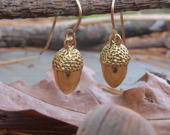 May include: A pair of gold acorn dangle earrings with a textured surface. The earrings are hanging from a branch.