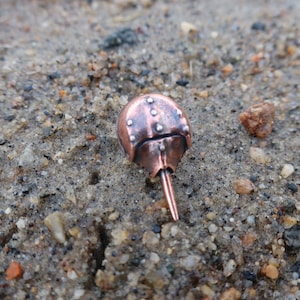 Copper Horseshoe Crab Lapel Pin CC123C Ocean, Beach, Sea Side, Marine, Marine Animals and Aquarium Pins image 7