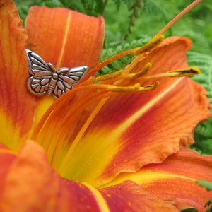 Butterfly Lapel Pin - CC388- Butterflies, Insect, Bug, and Hospice Pins