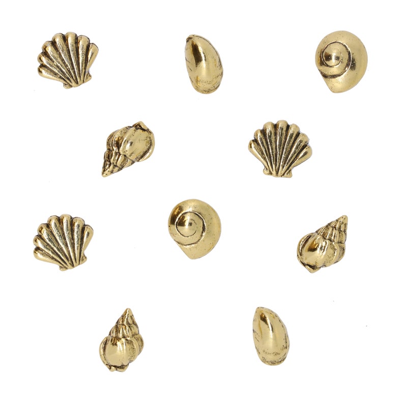 Seashells Pushpins Home Office Decor Seashell, Seaside, Ocean, Beach, and Nautical Decor for your Decorative Corkboard Gold