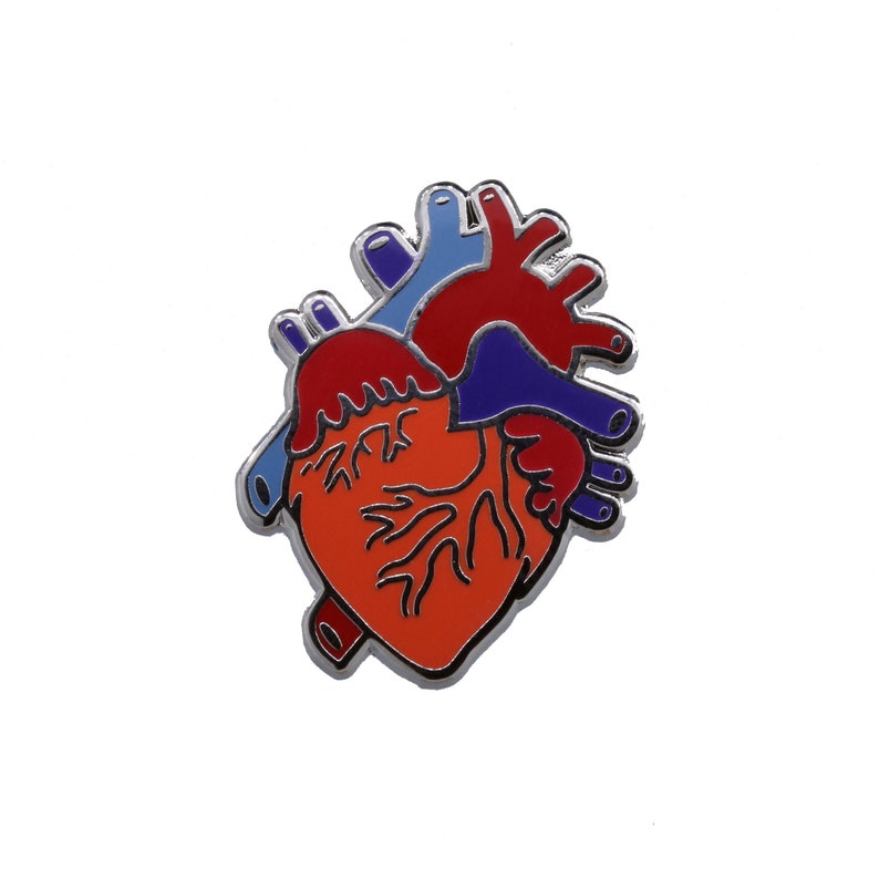 May include: A red, blue and purple enamel pin shaped like a human heart. The heart has a detailed illustration of the chambers and veins.