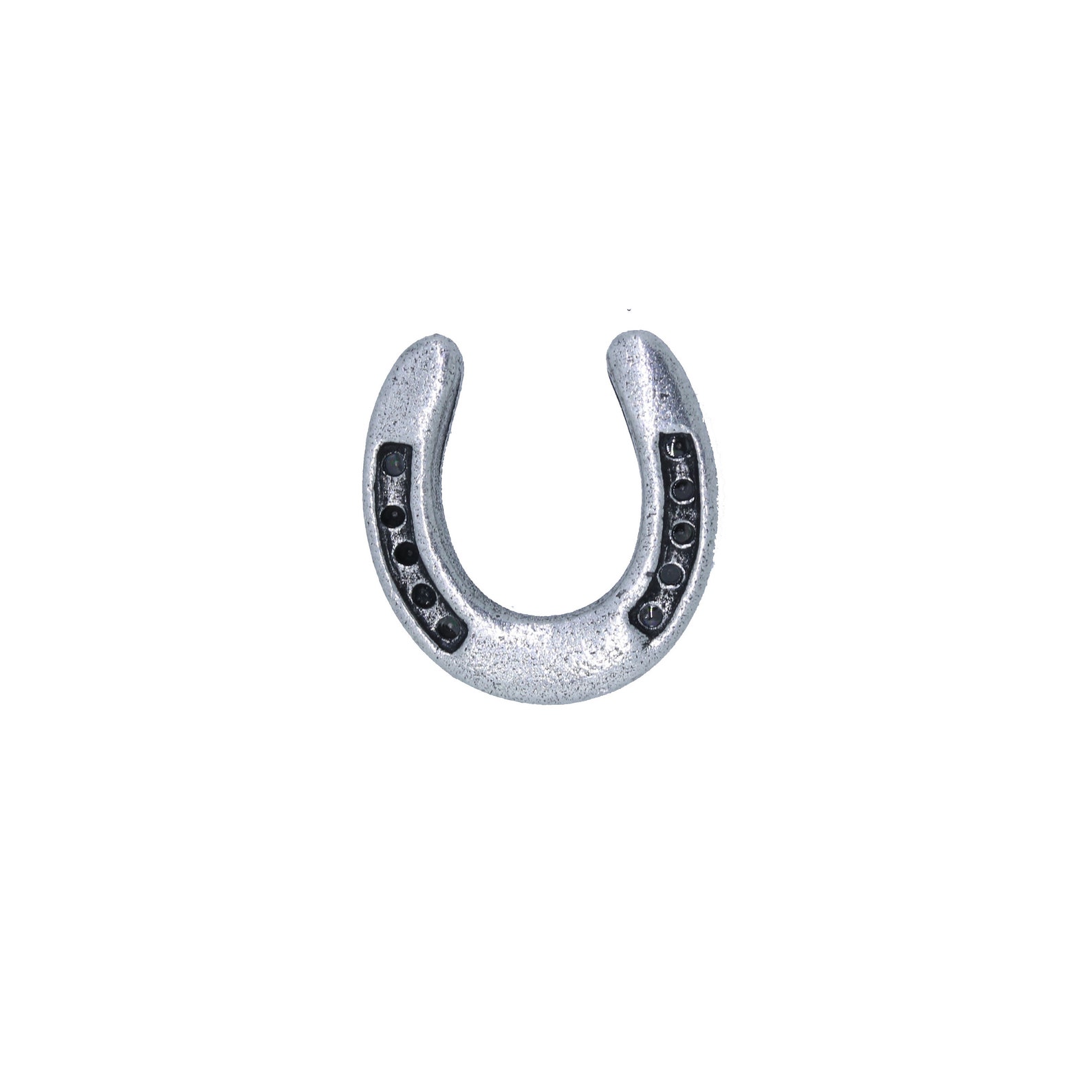 Horseshoe Lapel Pin CC463 Lucky Pins Pins for Luck Good Etsy