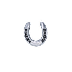 Horseshoe Lapel Pin CC463 Lucky Pins Pins for Luck Good Luck Charm Cowboy Pins Rodeo Pins image 2